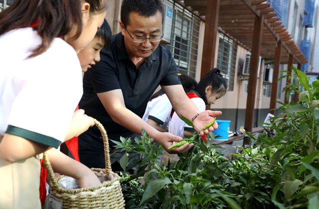 家庭为基础 学校是主导 社会是支撑